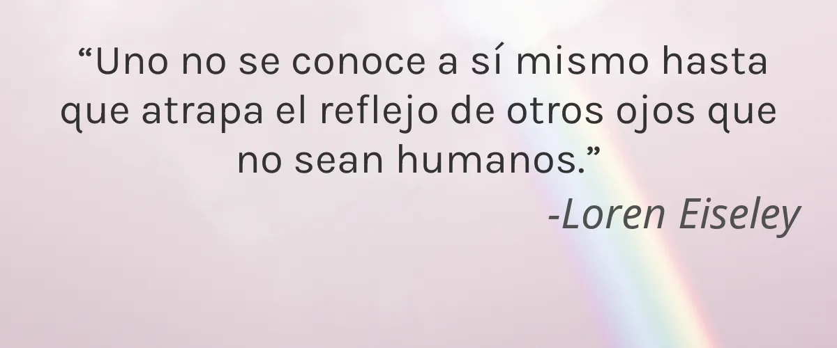 Cruelty Free Studio 10 cita-Loren Eiseley