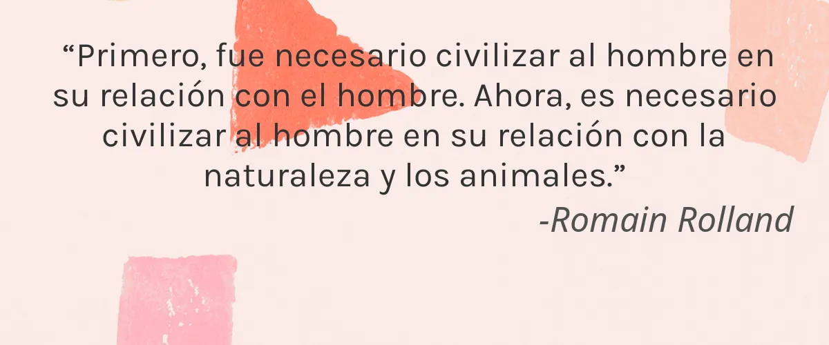 Substance 4 Cruelty Free Substance cita-Romain Rolland