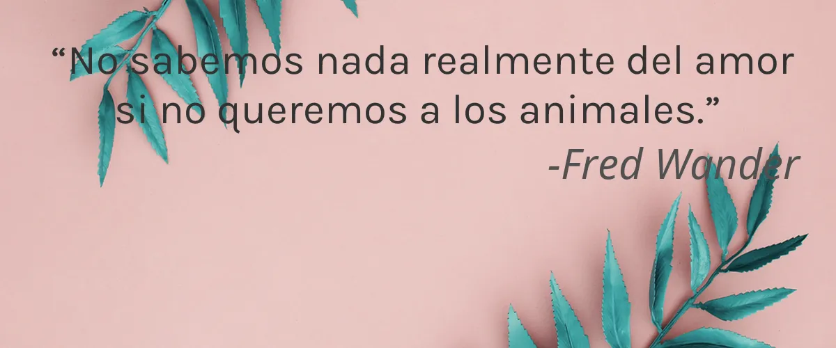 SUDS 4 Cruelty Free SUDS cita-Fred Wander