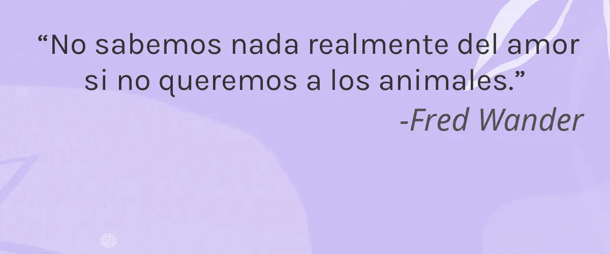 Sugar Me Bare 4 Cruelty Free Sugar Me Bare cita-Fred Wander