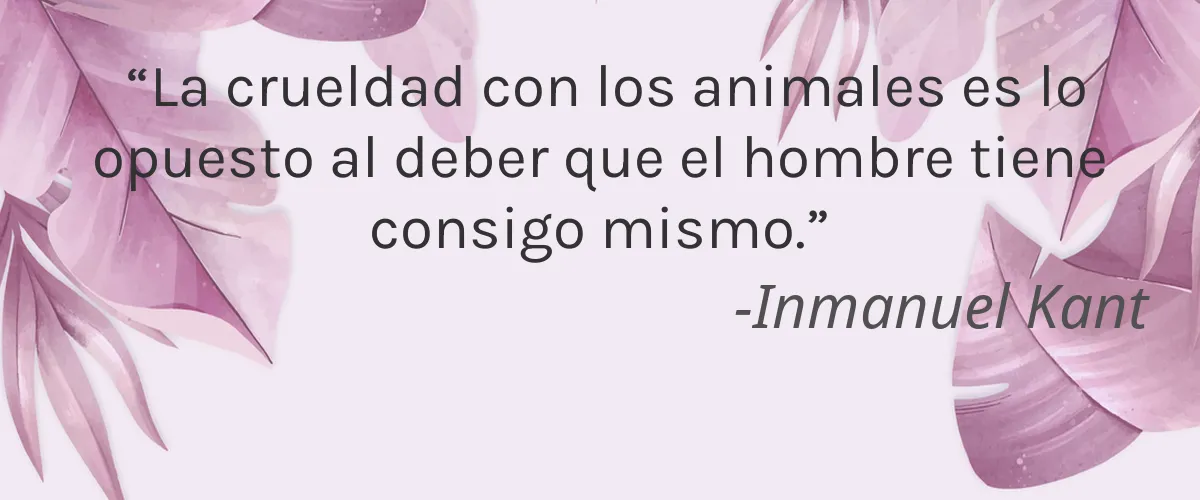 SUMMER FRIDAYS 4 Cruelty Free SUMMER FRIDAYS cita-Inmanuel Kant