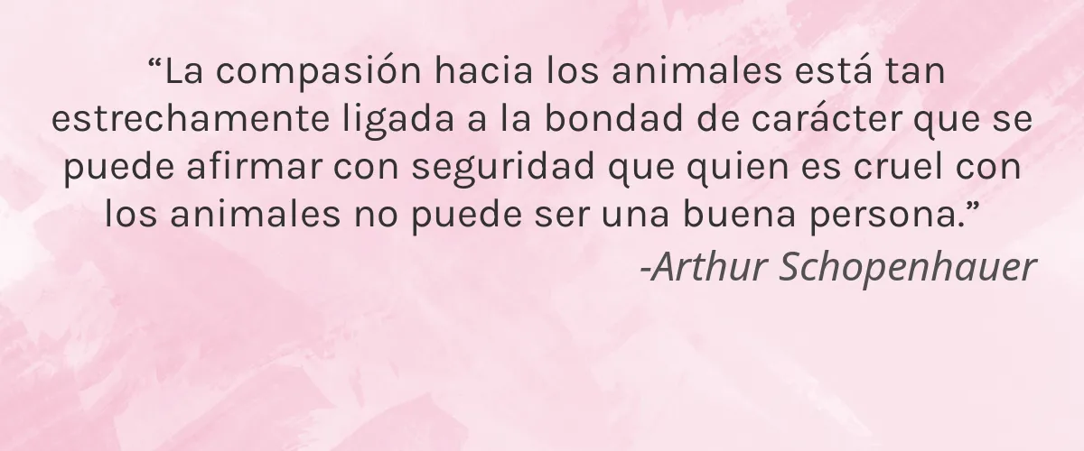 Summitborn 4 Cruelty Free Summitborn cita-Arthur Schopenhauer