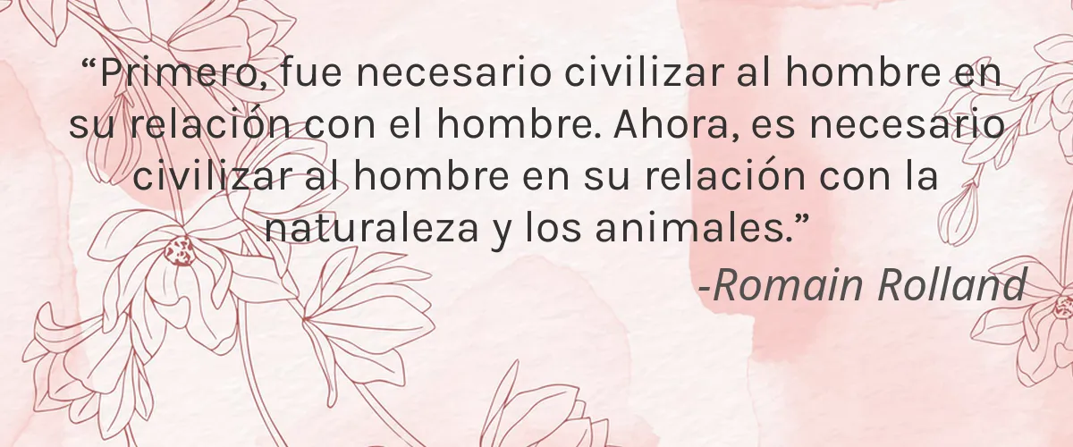 Cruelty Free Sunny & Honey cita-Romain Rolland