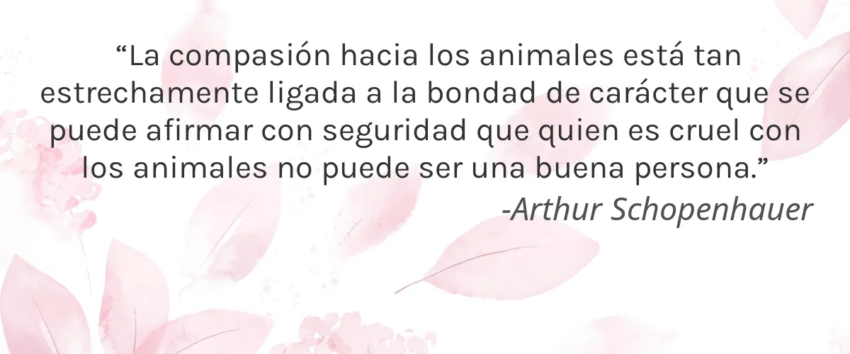 Sunsilk (Unilever) 9 Cruelty Free Sunsilk (Unilever) cita-Arthur Schopenhauer