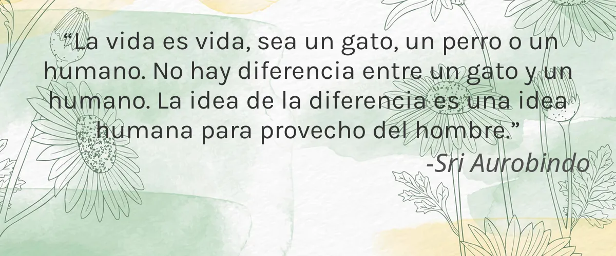 Cruelty Free Sunumbra cita-Sri Aurobindo