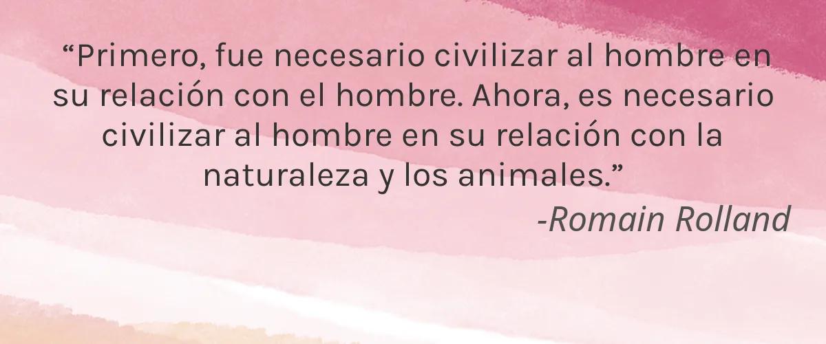 Cruelty Free Super Nail cita-Romain Rolland