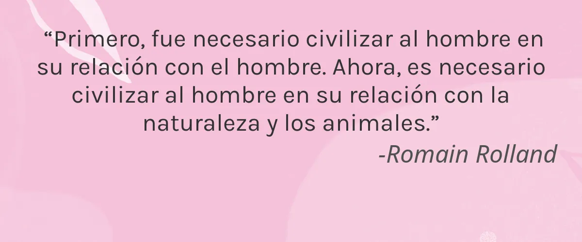 Taza Beauty 4 Cruelty Free Taza Beauty cita-Romain Rolland