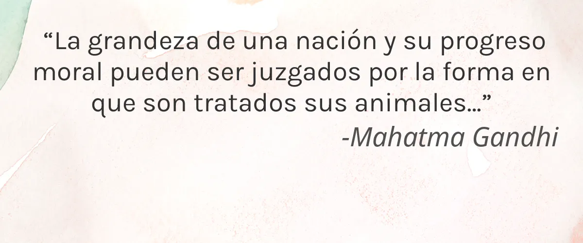 Cruelty Free tenoverten cita-Mahatma Gandhi