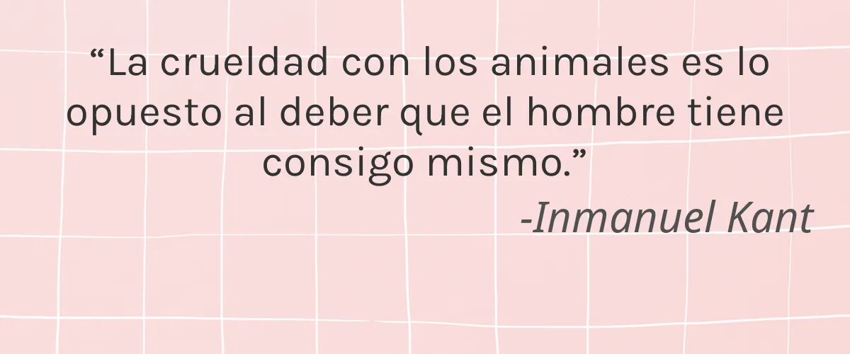 The Chemical Free Me 4 Cruelty Free The Chemical Free Me cita-Inmanuel Kant