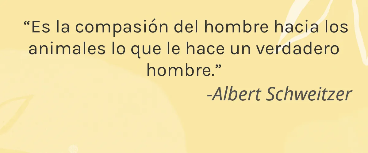 Cruelty Free The Humane Company cita-Albert Schweitzer