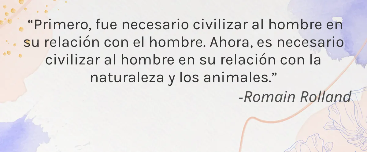 THE LAUGHING MERMAID 4 Cruelty Free THE LAUGHING MERMAID cita-Romain Rolland