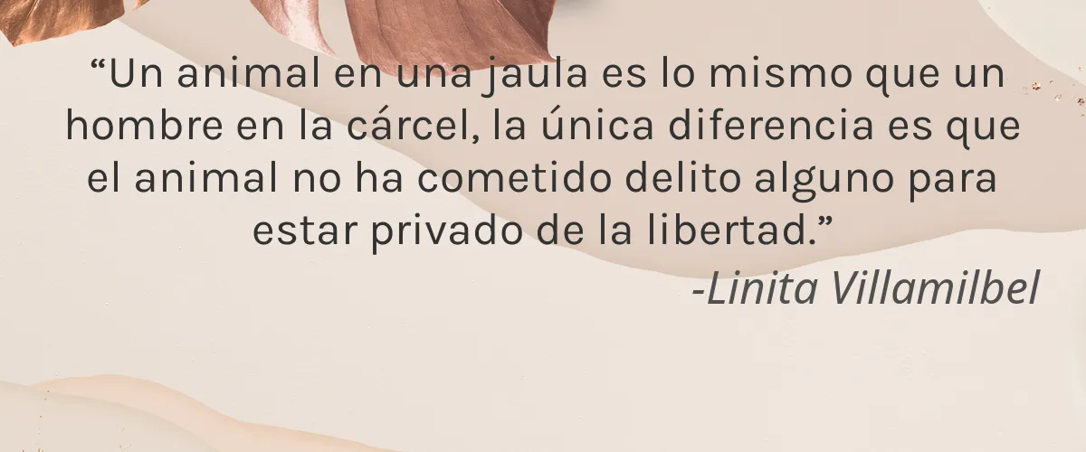 The Laughing Tree Organics 5 Cruelty Free The Laughing Tree Organics cita-Linita Villamilbel