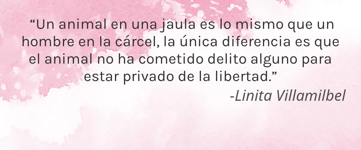 The Skinyst 4 Cruelty Free The Skinyst cita-Linita Villamilbel