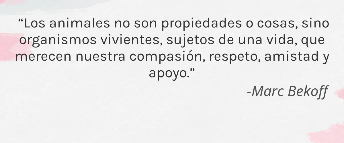 Then I Met You 4 Cruelty Free Then I Met You cita-Marc Bekoff