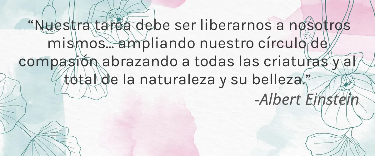 Theoderma 4 Cruelty Free Theoderma cita-Albert Einstein