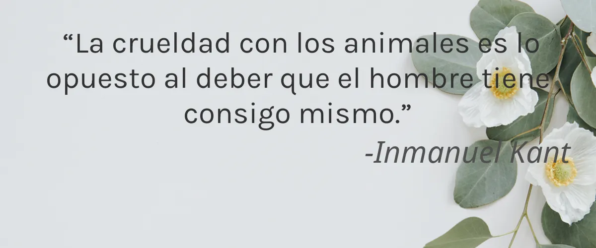 Thrive Causemetics 4 Cruelty Free Thrive Causemetics cita-Inmanuel Kant