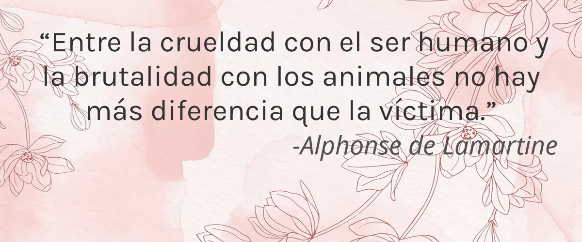 Tonik Soul 4 Cruelty Free Tonik Soul cita-Alphonse de Lamartine