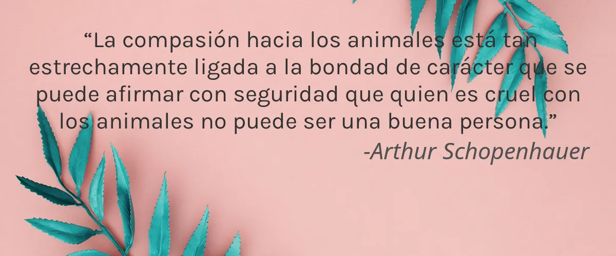 Trek 4 Cruelty Free Trek cita-Arthur Schopenhauer