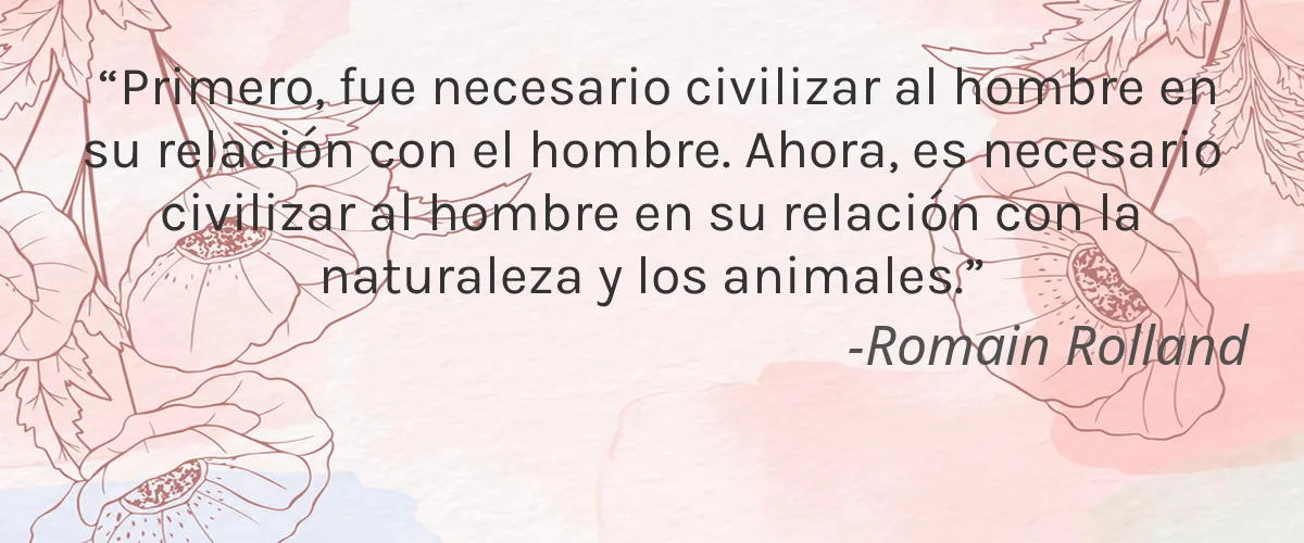 Tre'Yours 4 Cruelty Free Tre'Yours cita-Romain Rolland
