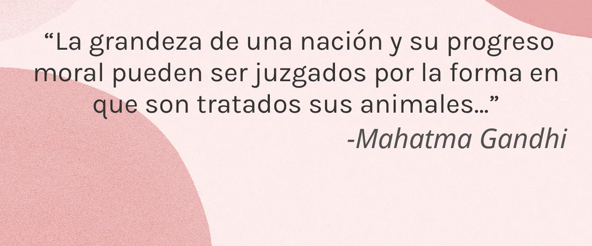 Cruelty Free TRUE NAIL POLISH cita-Mahatma Gandhi