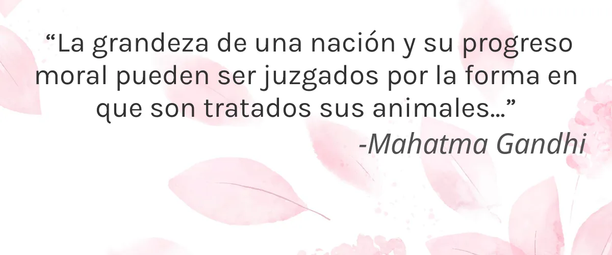Twoone Onetwo 4 Cruelty Free Twoone Onetwo cita-Mahatma Gandhi