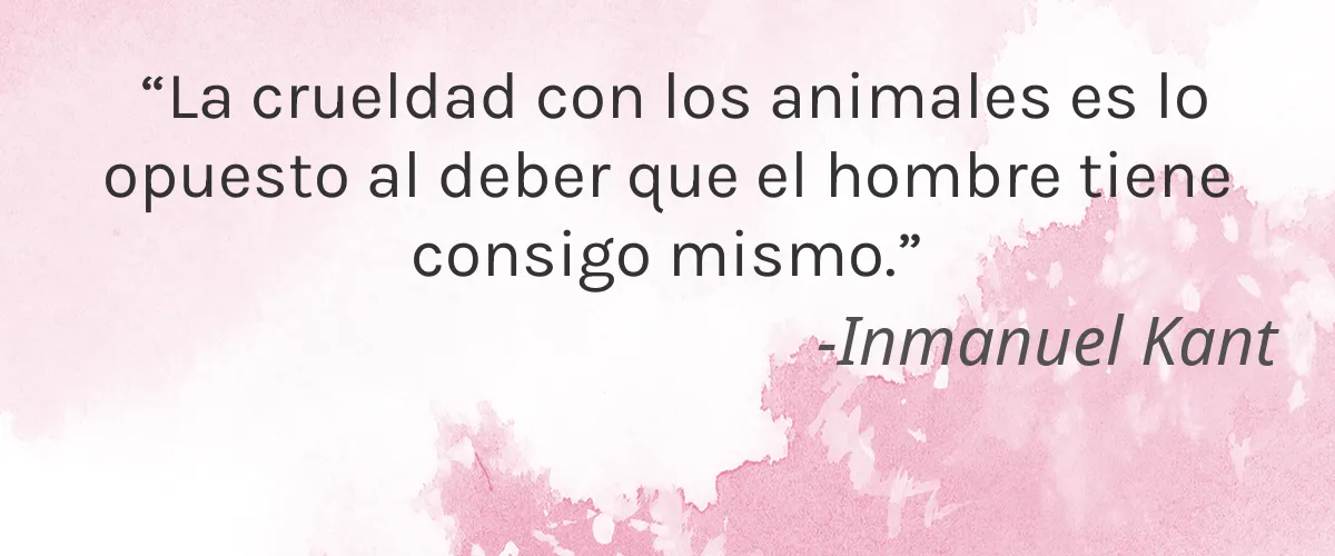 Undefined Beauty 4 Cruelty Free Undefined Beauty cita-Inmanuel Kant
