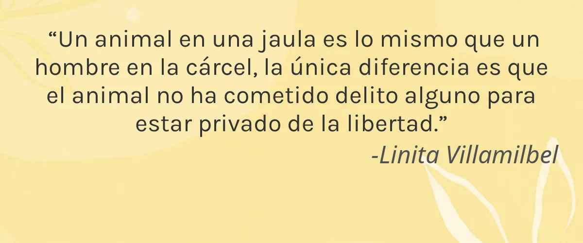 Unearthly Cosmetics 4 Cruelty Free Unearthly Cosmetics cita-Linita Villamilbel
