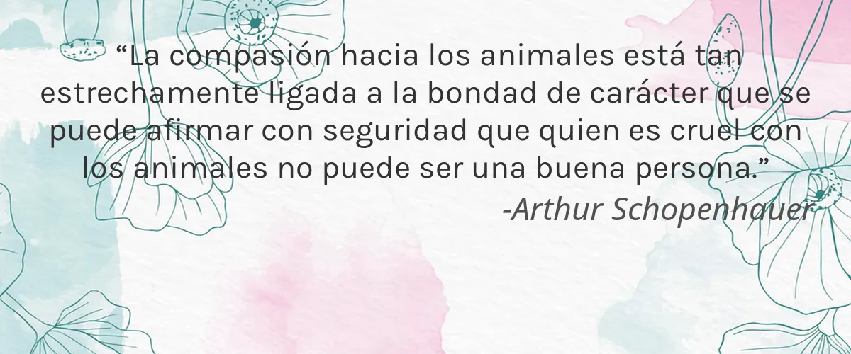 Uni 4 Cruelty Free Uni cita-Arthur Schopenhauer