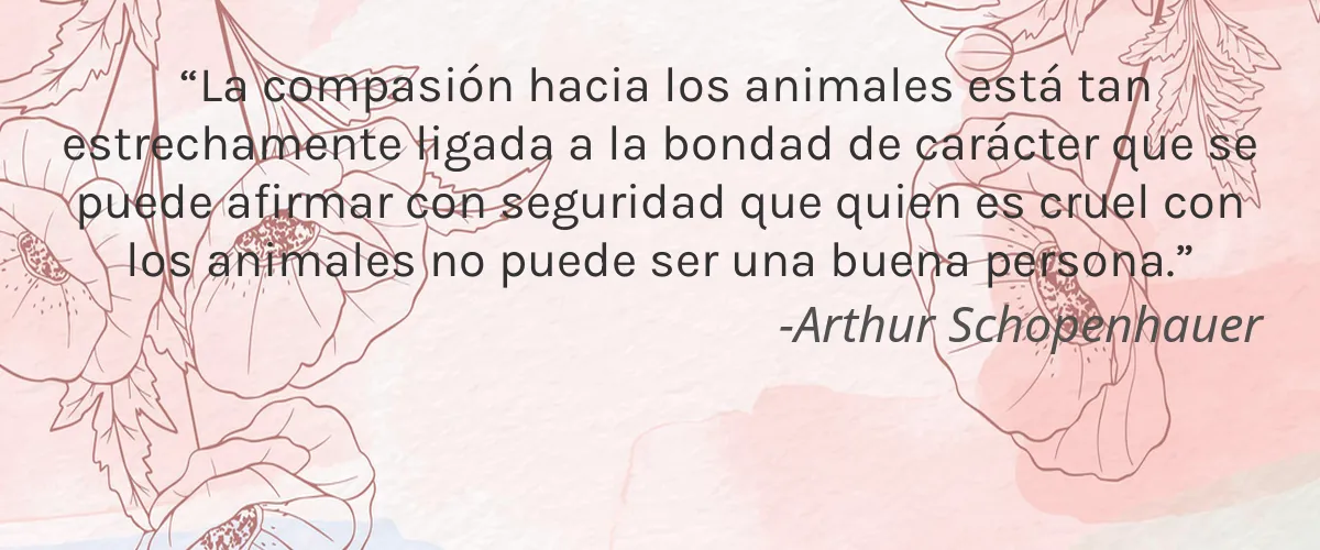 Unicorn Gang Shop 4 Cruelty Free Unicorn Gang Shop cita-Arthur Schopenhauer