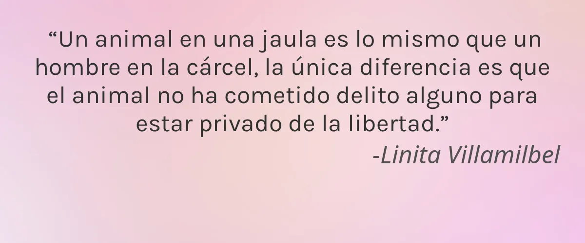 URBAN VEDA 4 Cruelty Free URBAN VEDA cita-Linita Villamilbel