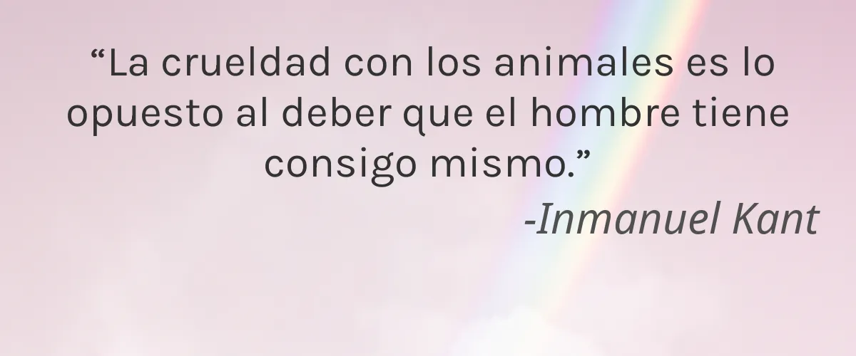 Uriage 4 Cruelty Free Uriage cita-Inmanuel Kant