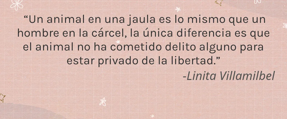 Vegan Lizz 4 Cruelty Free Vegan Lizz cita-Linita Villamilbel