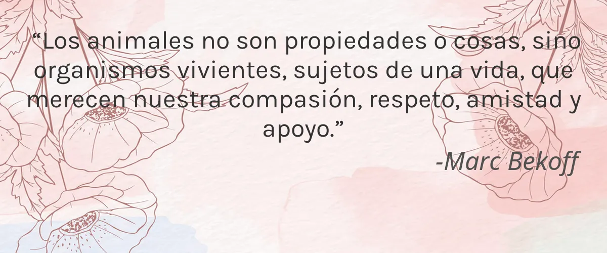 Vera Wang 4 Cruelty Free Vera Wang cita-Marc Bekoff