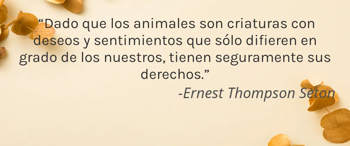 Veracity Selfcare 4 Cruelty Free Veracity Selfcare cita-Ernest Thompson Seton