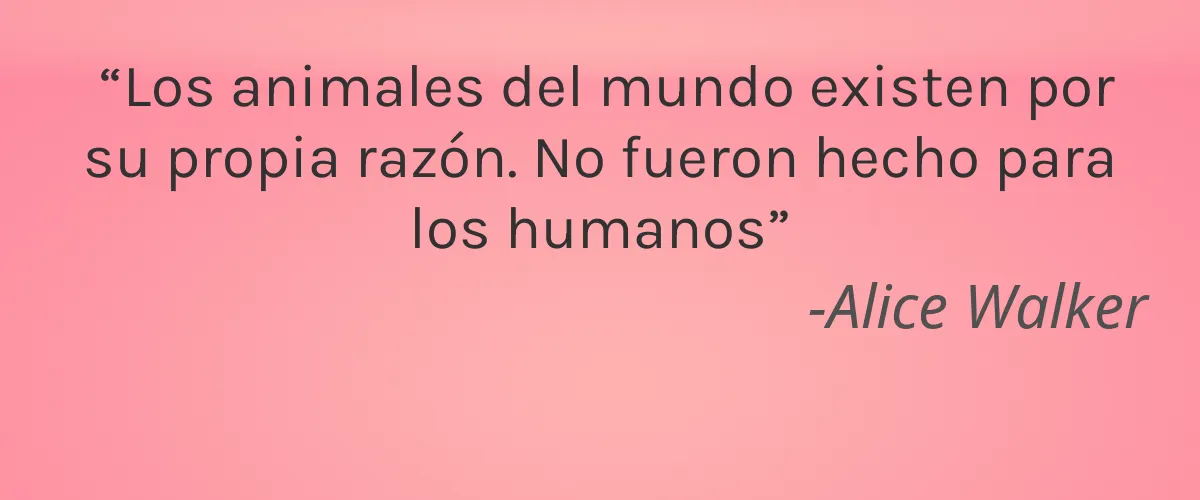 VIAROSA 5 Cruelty Free VIAROSA cita-Alice Walker