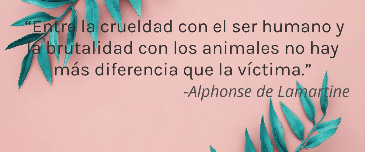 Vibranz 4 Cruelty Free Vibranz cita-Alphonse de Lamartine