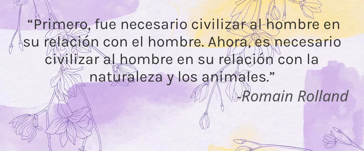 VIKE 4 Cruelty Free VIKE cita-Romain Rolland