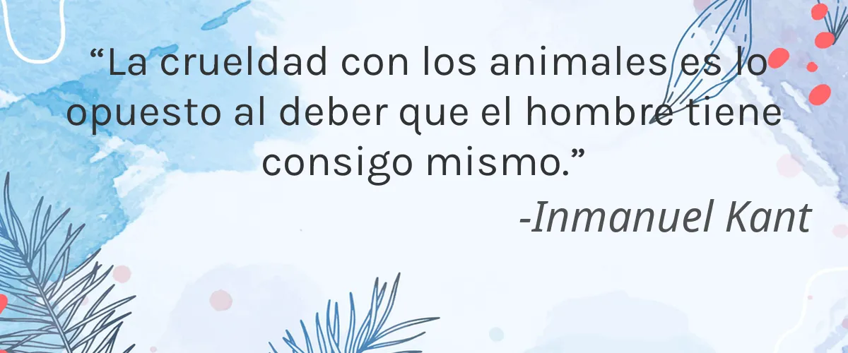 VMP Cosmetics 4 Cruelty Free VMP Cosmetics cita-Inmanuel Kant
