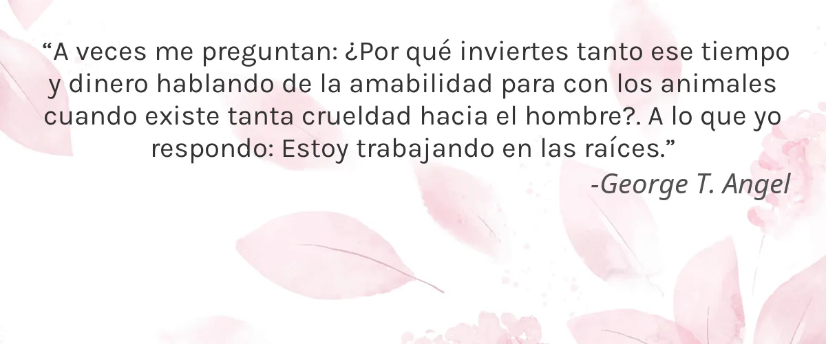 Wabi-Sabi Botanicals 4 Cruelty Free Wabi-Sabi Botanicals cita-George T. Angel