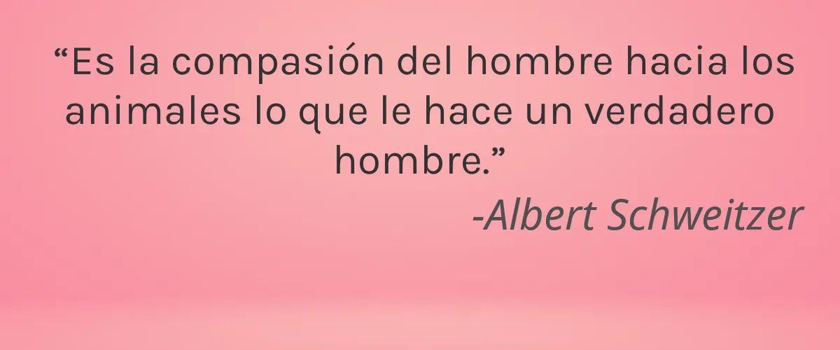 WEDO/PROFESSIONAL 4 Cruelty Free WEDO/PROFESSIONAL cita-Albert Schweitzer