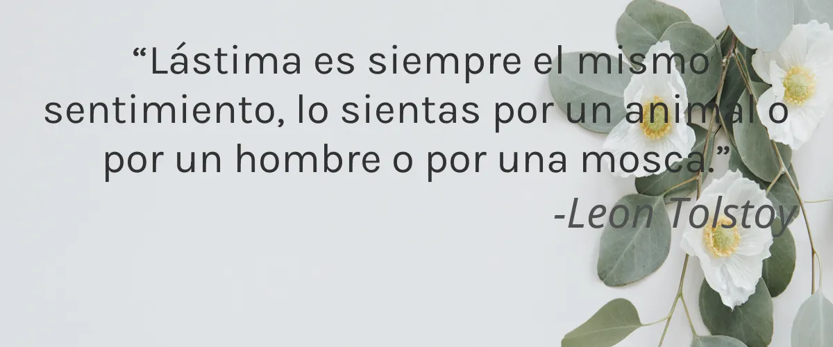 Cruelty Free White and Elm cita-Leon Tolstoy