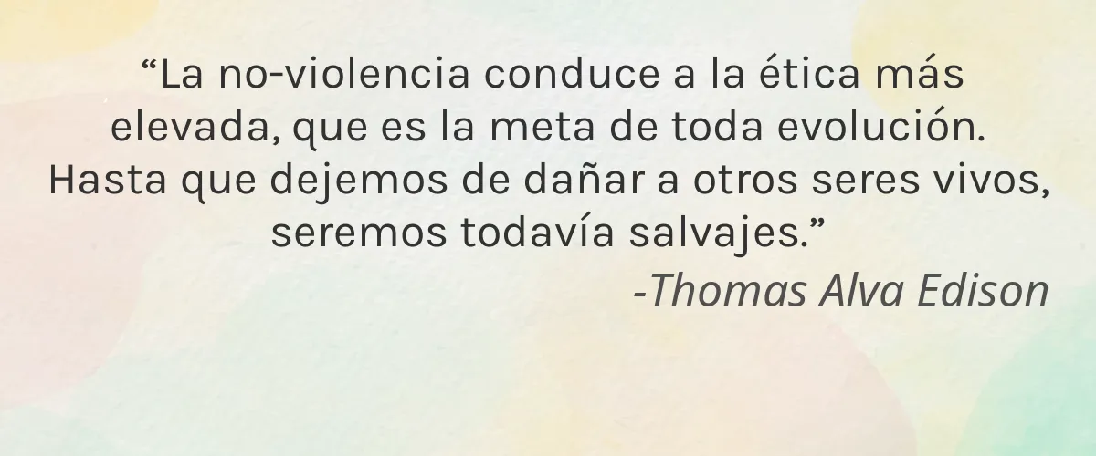 Wilmae Beauty 5 Cruelty Free Wilmae Beauty cita-Thomas Alva Edison
