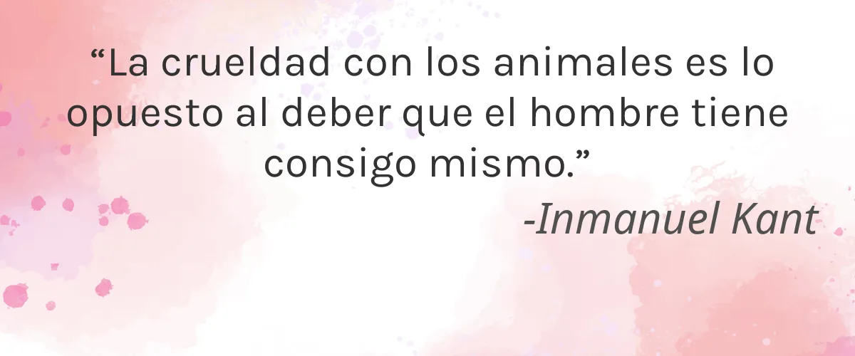 Windex 4 Cruelty Free Windex cita-Inmanuel Kant
