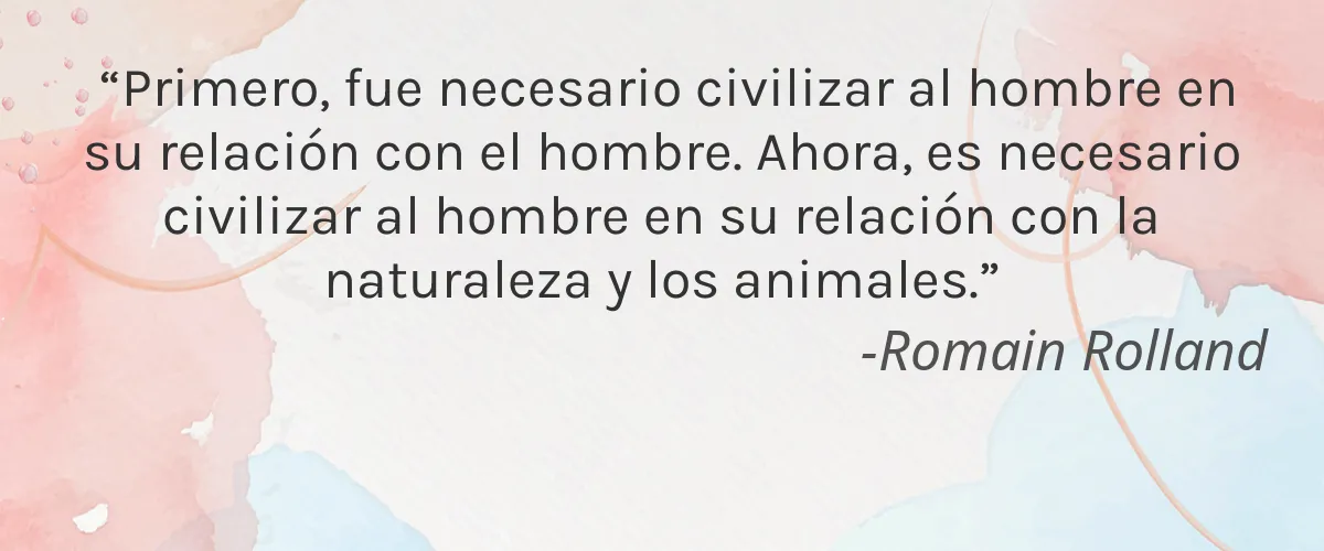 Wonderblush 4 Cruelty Free Wonderblush cita-Romain Rolland