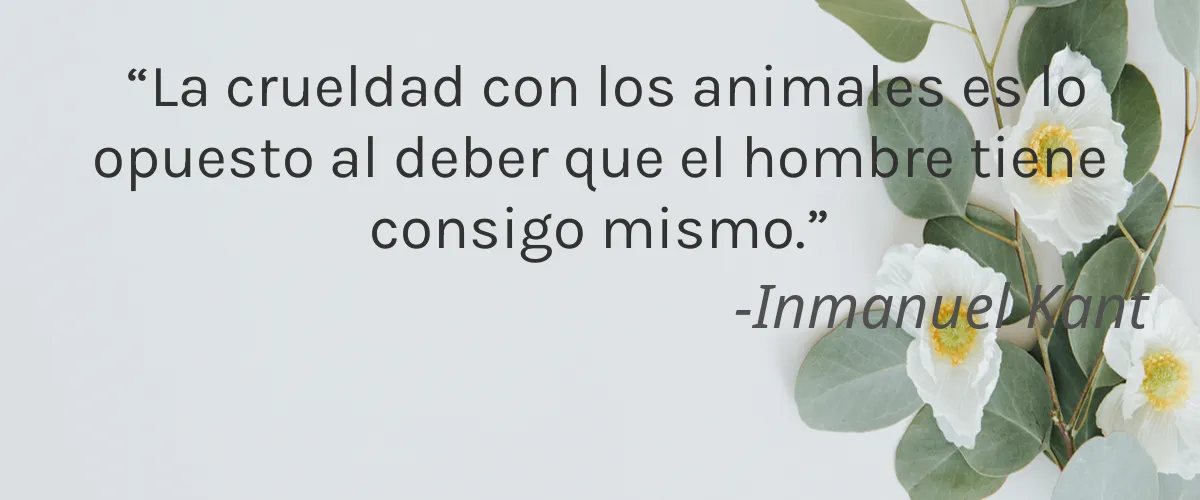 Y natural skincare 4 Cruelty Free Y natural skincare cita-Inmanuel Kant