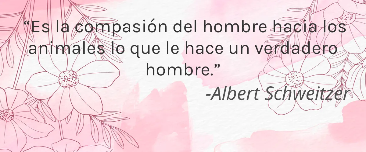 Yokaba 4 Cruelty Free Yokaba cita-Albert Schweitzer