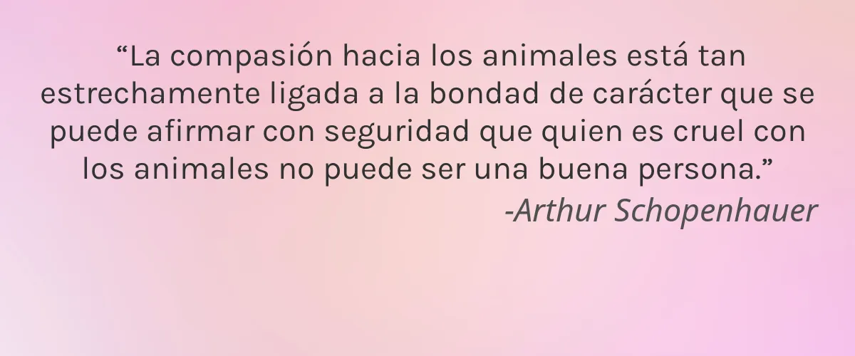 ZenaSkin 4 Cruelty Free ZenaSkin cita-Arthur Schopenhauer